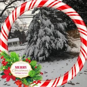 Meet your Posher, Cecelia